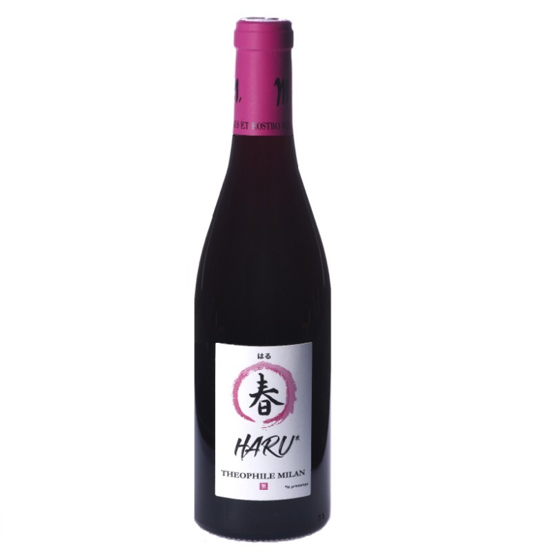 完璧すぎて可愛げがない haru rouge.jpeg ワイン